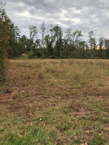 3 Acres For Sale - image 1