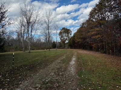 80+ Acres with Home, Cabin & Barn in Halifax County, VA - image 7