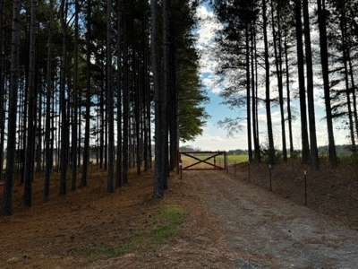 80+ Acres with Home, Cabin & Barn in Halifax County, VA - image 8