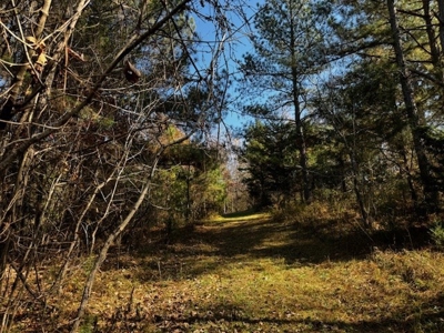 80+ Acres with Home, Cabin & Barn in Halifax County, VA - image 19