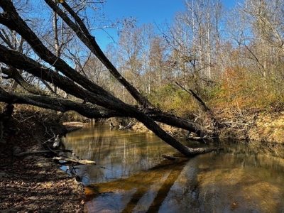 80+ Acres with Home, Cabin & Barn in Halifax County, VA - image 26