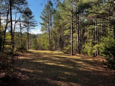 80+ Acres with Home, Cabin & Barn in Halifax County, VA - image 37