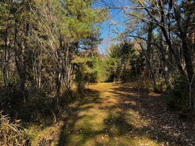 80+ Acres with Home, Cabin & Barn in Halifax County, VA - image 11