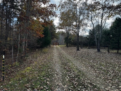 80+ Acres with Home, Cabin & Barn in Halifax County, VA - image 6