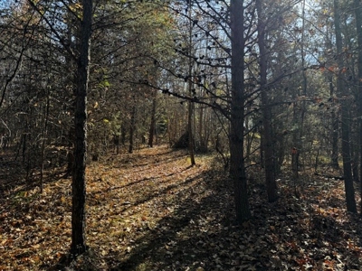 80+ Acres with Home, Cabin & Barn in Halifax County, VA - image 9