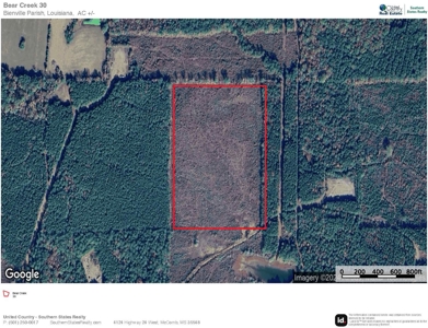 30+/- Acres for Sale Bienville, LA - image 8