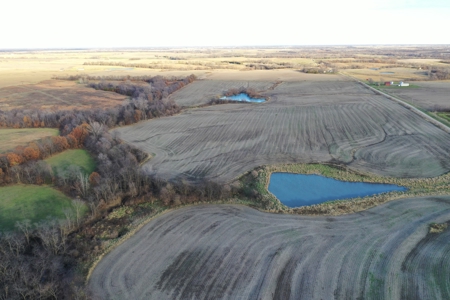 Tillable Farm With Hunting For Sale - image 7