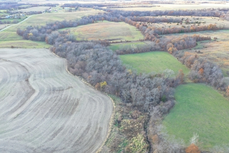 Tillable Farm With Hunting For Sale - image 14