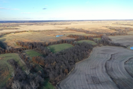 Tillable Farm With Hunting For Sale - image 3