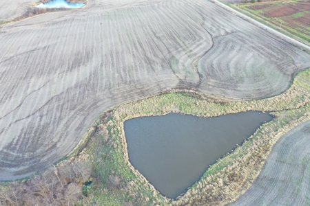 Tillable Farm With Hunting For Sale - image 9
