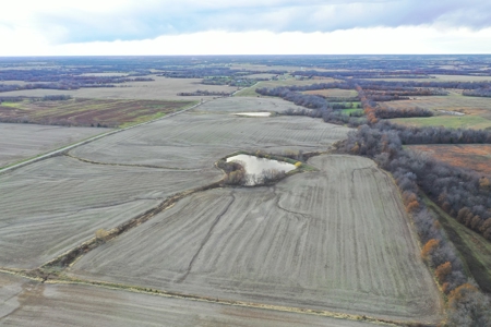 Tillable Farm With Hunting For Sale - image 20