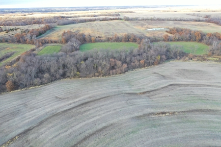 Tillable Farm With Hunting For Sale - image 17