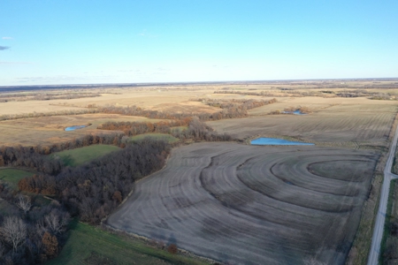 Tillable Farm With Hunting For Sale - image 2