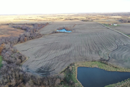 Tillable Farm With Hunting For Sale - image 8
