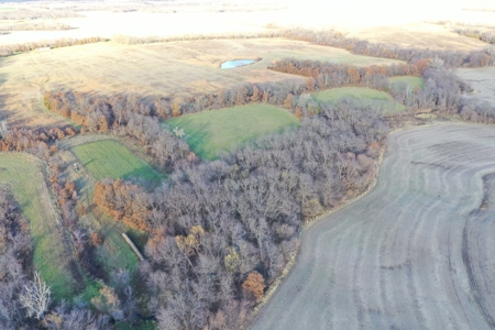 Tillable Farm With Hunting For Sale - image 4