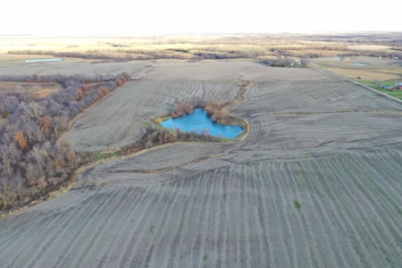 Tillable Farm With Hunting For Sale - image 11