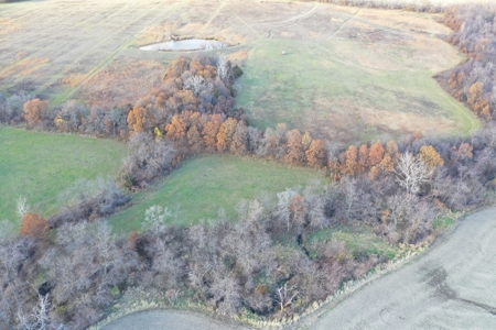Tillable Farm With Hunting For Sale - image 13