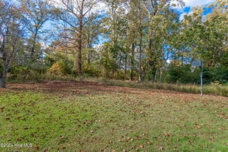 Home For Sale In Edenton Nc - image 7