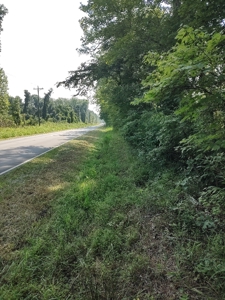 Prime Timberland Opportunity in Coastal NC - image 18