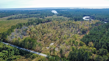 Prime Timberland Opportunity in Coastal NC - image 8