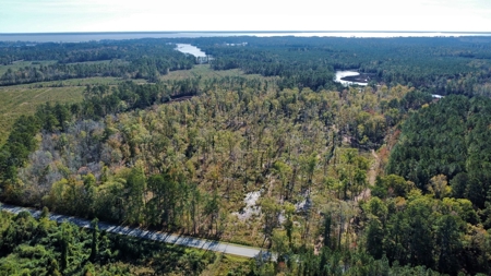 Prime Timberland Opportunity in Coastal NC - image 9