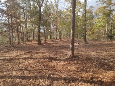 Prime Timberland Opportunity in Coastal NC - image 37