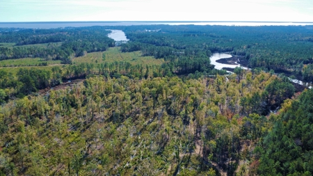Prime Timberland Opportunity in Coastal NC - image 13