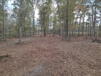 Prime Timberland Opportunity in Coastal NC - image 35
