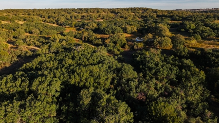 Jack County Texas Cattle and Hunting Ranch - image 10