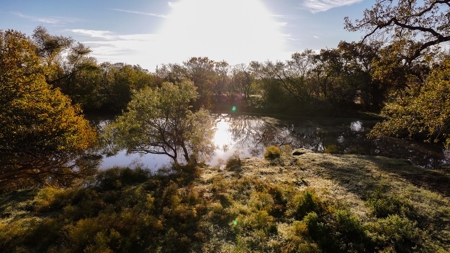 Jack County Texas Cattle and Hunting Ranch - image 14