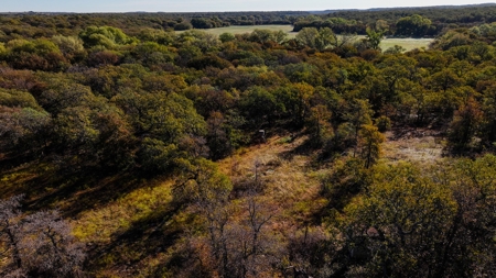 Jack County Texas Cattle and Hunting Ranch - image 37