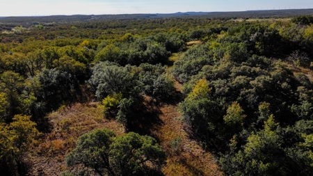 Jack County Texas Cattle and Hunting Ranch - image 39