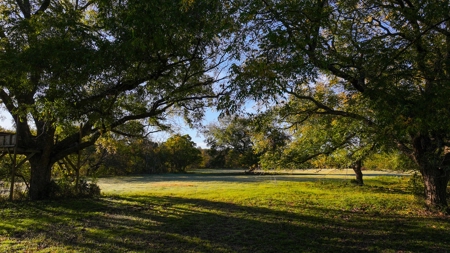 Jack County Texas Cattle and Hunting Ranch - image 25