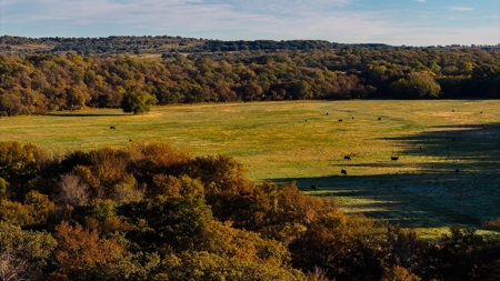 Jack County Texas Cattle and Hunting Ranch - image 21
