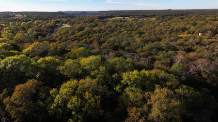 Jack County Texas Cattle and Hunting Ranch - image 30