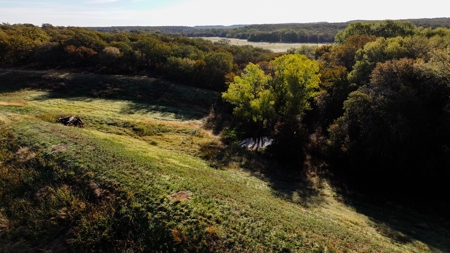 Jack County Texas Cattle and Hunting Ranch - image 28