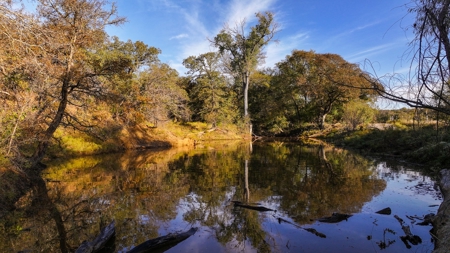 Jack County Texas Cattle and Hunting Ranch - image 27