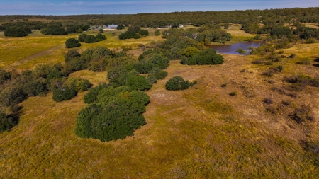 Jack County Texas Cattle and Hunting Ranch - image 3