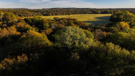 Jack County Texas Cattle and Hunting Ranch - image 20