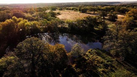 Jack County Texas Cattle and Hunting Ranch - image 16