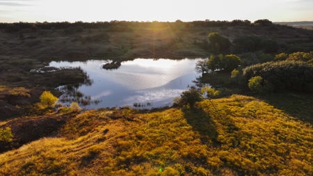 Jack County Texas Cattle and Hunting Ranch - image 5