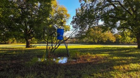 Jack County Texas Cattle and Hunting Ranch - image 26