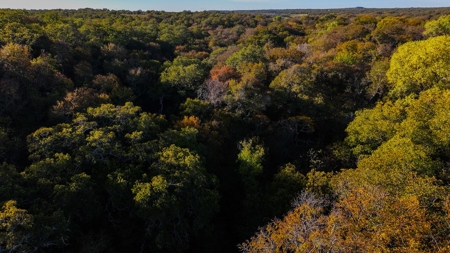 Jack County Texas Cattle and Hunting Ranch - image 36