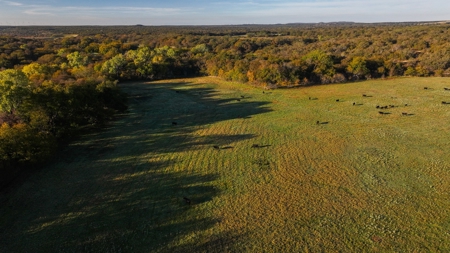 Jack County Texas Cattle and Hunting Ranch - image 22