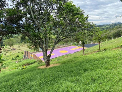 26 Bedroom Finca Hotel for Sale in La Tebaida, Quindio - image 15