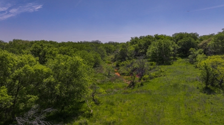 North Texas Hill Country Residential Land in Montague County - image 13