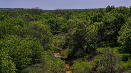 North Texas Hill Country Residential Land in Montague County - image 2