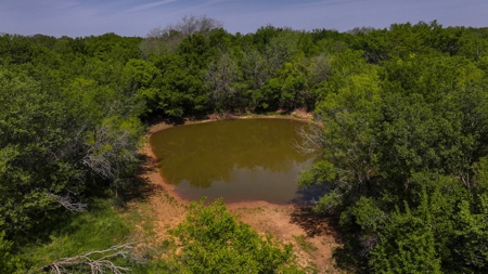 North Texas Hill Country Residential Land in Montague County - image 9