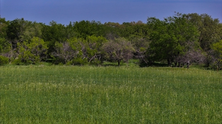 North Texas Hill Country Residential Land in Montague County - image 6