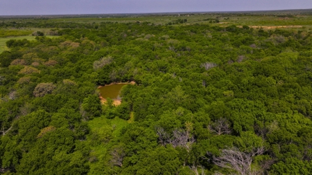 North Texas Hill Country Residential Land in Montague County - image 11